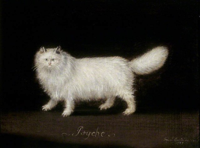 'Psyche', a White Persian Cat by Francis Sartorius I, 1787 (c) National Trust, Fenton House