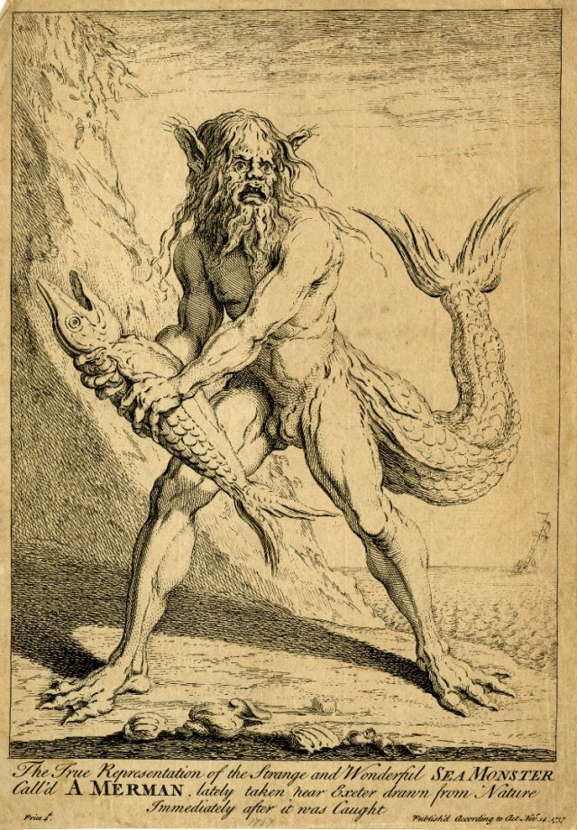 Figure of a man with the tail of a fish, large prominent ears and four talons to each hand and foot, standing on a beach clutching a fish; said to be a life-drawing of a merman captured near Exeter, 1737. © The Trustees of the British Museum
