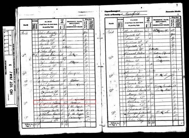 1841 Census for the rock houses - Elizabeth Watson, widowed. Click to enlarge view